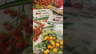 ОБЗОР ПРОВЕРЕННЫХ СЕМЯН ТОМАТОВ