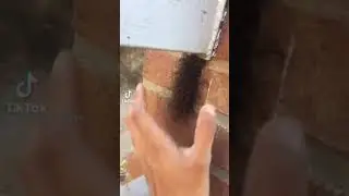 страшные видео