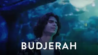 Budjerah - My Name (Live at Sydney Aquarium) | Mahogany Session