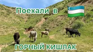 Путешествие по УЗБЕКИСТАНУ 🇺🇿ШАХРИСАБЗ🍒По дороге в ГОРНЫЙ КИШЛАК пришлось идти ПЕШКОМ 🚶‍♂️‍➡️