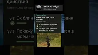 Телеграм опрос котобуса 
