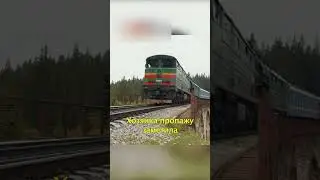 🚇Забыла Свою Собаку на Станции🐶