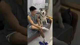 狗要吐了🤮🤮🤮隔著螢幕都能感受到這股味兒