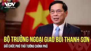 Bộ trưởng Ngoại giao Bùi Thanh Sơn giữ chức Phó Thủ tướng Chính phủ | Báo Điện tử VOV