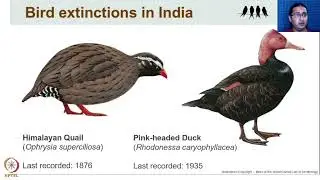 Bird Conservation - Concepts