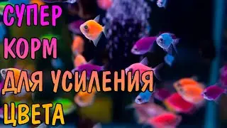 СУПЕР КОРМ ДЛЯ УСИЛЕНИЯ ЦВЕТА СВОИМИ РУКАМИ