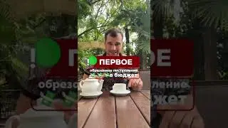 Девальвация близко! Полное обесценивание рубля. Какие предпосылки говорят об этом?