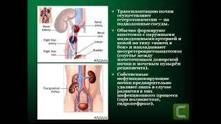 Основы трансплантологии, робототехники и гибридной хирургии