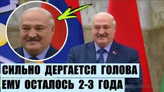 У Лукашенко сильно дергается голова. Ему осталось 2-3 года максимум.