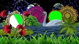 wedding green screen effects | chroma key video background Photo Frame | Wedding green screen Video