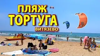 Пляж 🌊 ТОРТУГА 🌊 Витязево Анапа