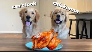 CAN THEY RESIST?!?