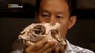 Los Dinosaurios Carnívoros Mas Grandes Del Mundo (Documental En Español)