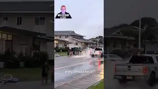 Их улицу затопило, но они не расстроились 😂 