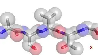 Principles of Biochemistry | Harvardx on edX