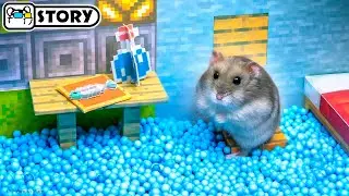 🐹 Hamster Escapes the Minecraft Maze - The Caves 🐹 Homura Ham Pets