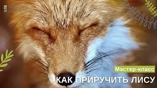 Мастер-класс 