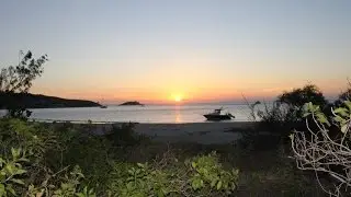 Lizard Island - CodHole Part II  Awesome!!