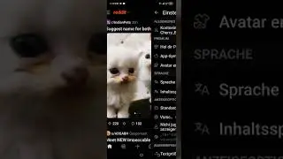 How to Change language in Reddit Application