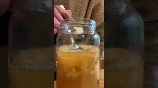 How to make a Ginger Bug (Ginger Beer Starter)