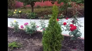 САД СВОИМИ РУКАМИ Первые шаги