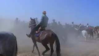 QASHQADARYO VILOYATI CHIROQCHI TUMANI KAMUNIZUM MFY KARCHIN QISHLOG'IDA KATTA KUPKARI 01.10.2024YIL