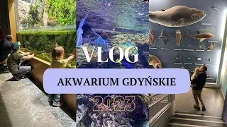 AKWARIUM GDYŃSKIE  /2023/