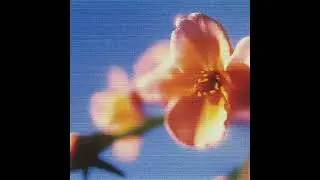 (FREE) J COLE x SMINO TYPE BEAT "KNOWURWORTH" | CHILL RAP TYPE BEAT