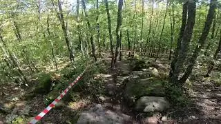 Просмотр трассы 