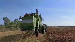 Жнивуємо ГРЕЧКУ. Як зробити жатку під соняшник 🌻? #гречка @novatoragrofarm