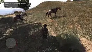 (Ps5) RedDeadRedemption 1