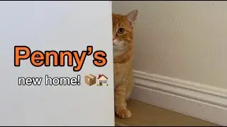 Penny is moving!