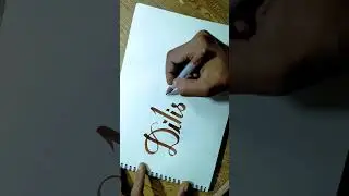 Dilisha: Calligraphy handwriting/Lettering art