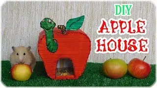 DIY Hamster Apple house. House Apple. Popsicle stick hamster apple house