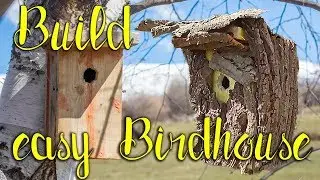 How to build an EASY and NATURAL-looking birdhouse