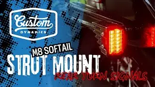 🚨 Softail Rear Strut Mount LED Turn Signals from Custom Dynamics 🚨