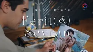 Ферит и Сейран/В моей крови (По мотивам 66 серии)/Зимородок/Ferit ve Seyran/YC