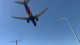 IMG 1620