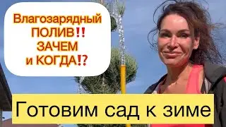 ✅Влагозарядный ПОЛИВ‼️ЗАЧЕМ и КОГДА ⁉️⁉️Ответила на все вопросы