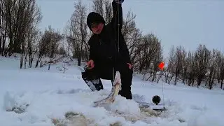 Зимняя рыбалка на ЖЕРЛИЦЫ  классно ❄🐟🔥 пришлось по бегать как по стадиону.🏃‍♂️🏃‍♂️🏃‍♂️ 3.12.2024 г.