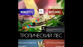 24я Экспедиция и 24я победа