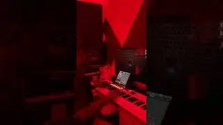 Akai impc pro 2 & swar plug