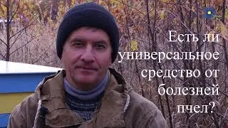 Есть ли универсальное средство от болезней пчел?