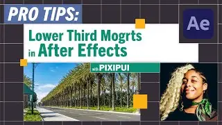 Pro-Tips: Quick Subscriber Mgrts in After Effects with pixipui