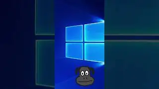 🖼️Longhorn ranks Windows Wallpapers🖼️ 