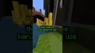 Chat GPT Made a New Minecraft Mob?