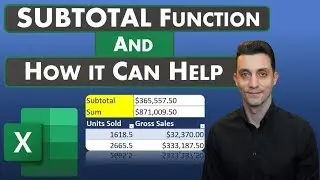 Excel Tips - SUBTOTAL Function Details and How it Can Help