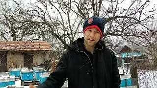 Расплод в конце января -его последствия!