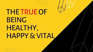 How To Be More Happy, Healthy, Motivated, & Successful | Bernadette Bruckner