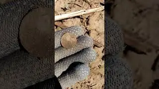 Набрёл на место хаты